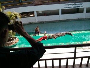 man puts head alligator